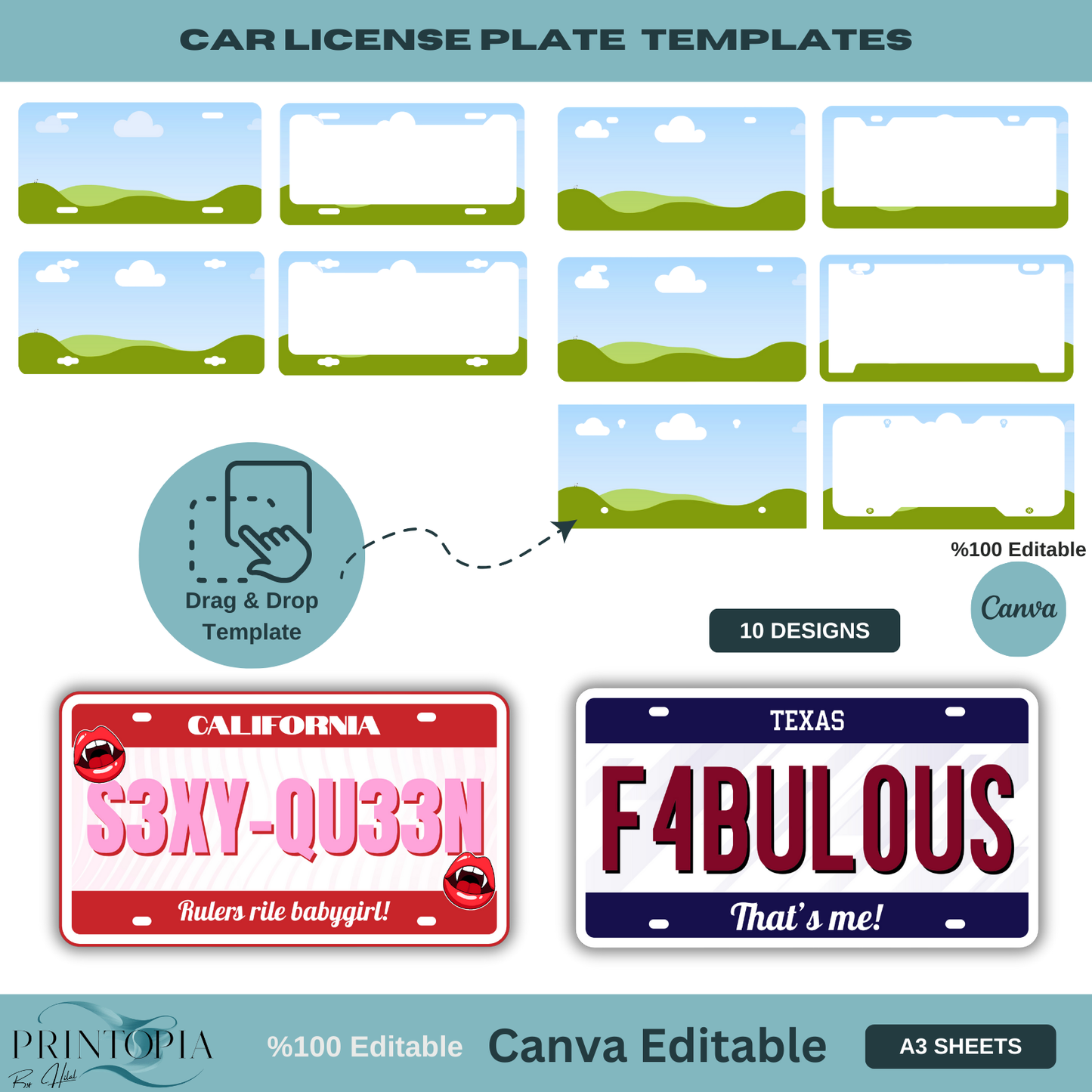 Editable Car License Plate Templates | Create Your Own Design | Perfect for Gifts & Personalization | Canva A3 Sheets 121